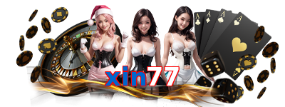 xin77