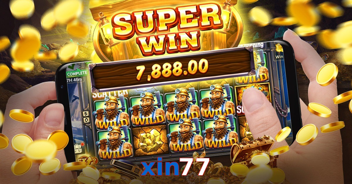 xin77