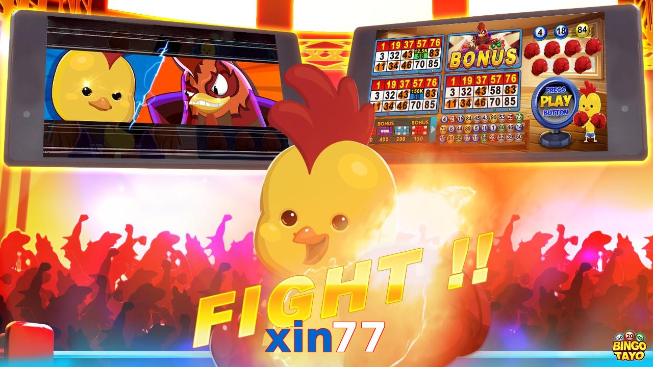 xin77