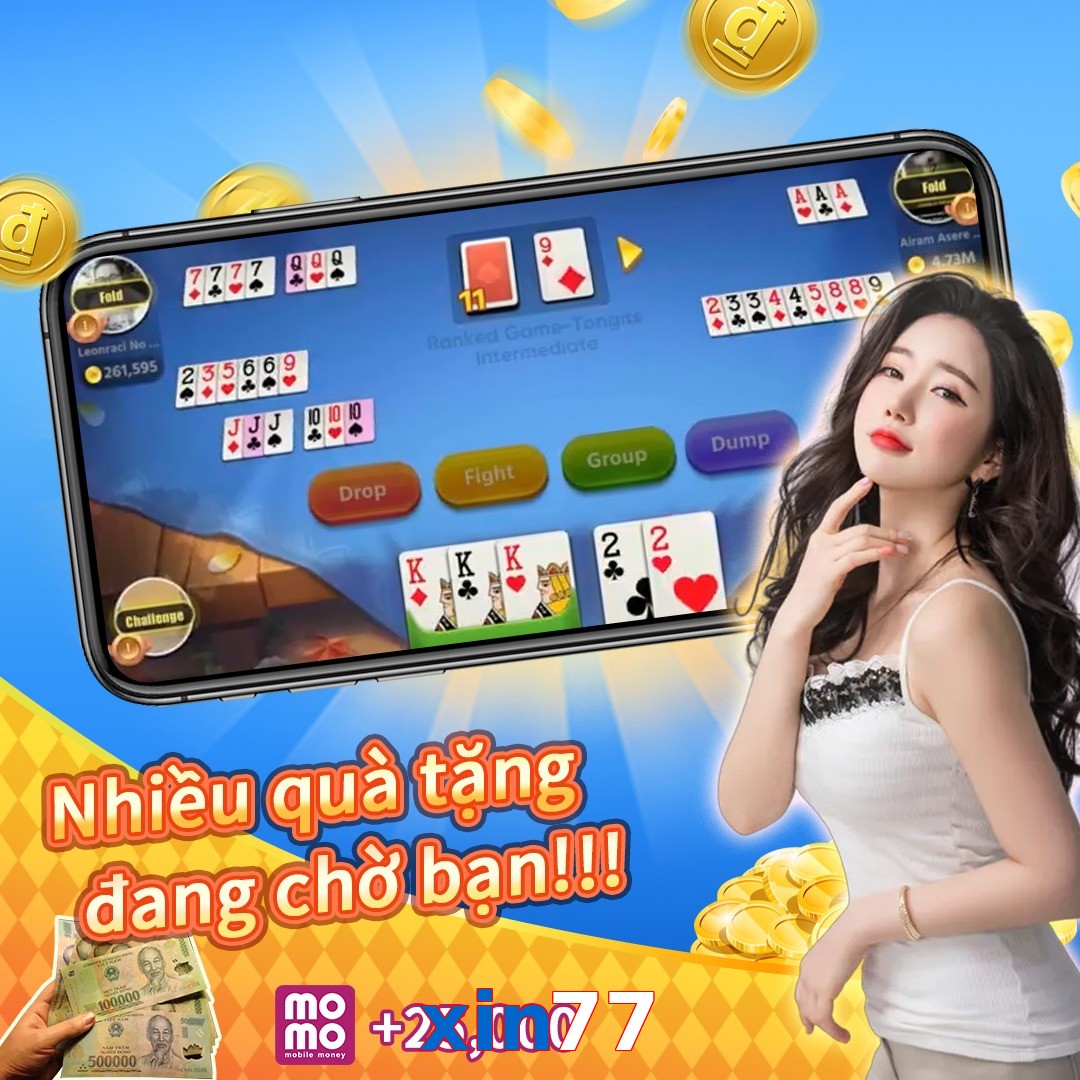 xin77