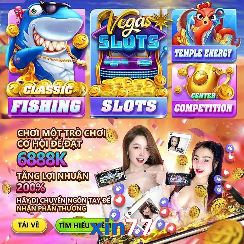 xin77