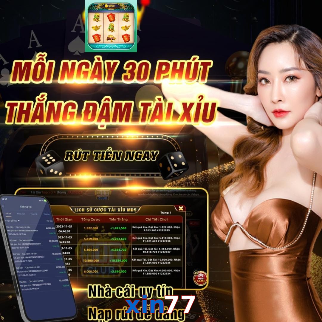 xin77