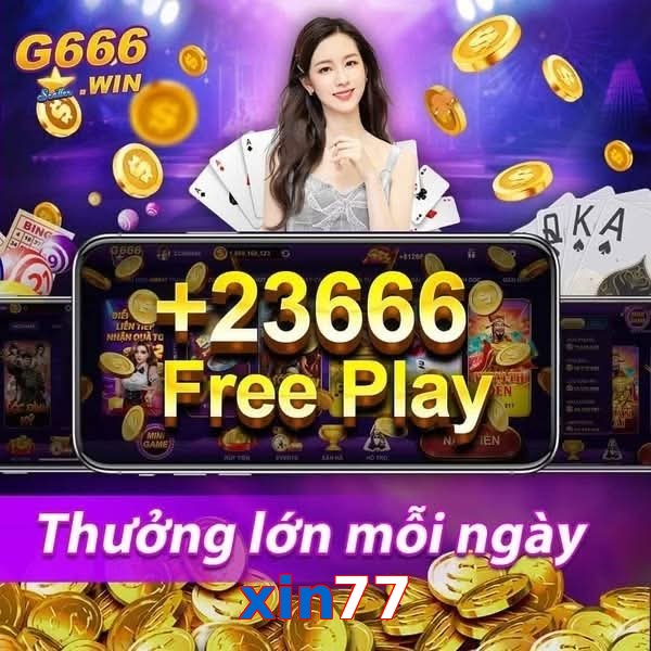 xin77