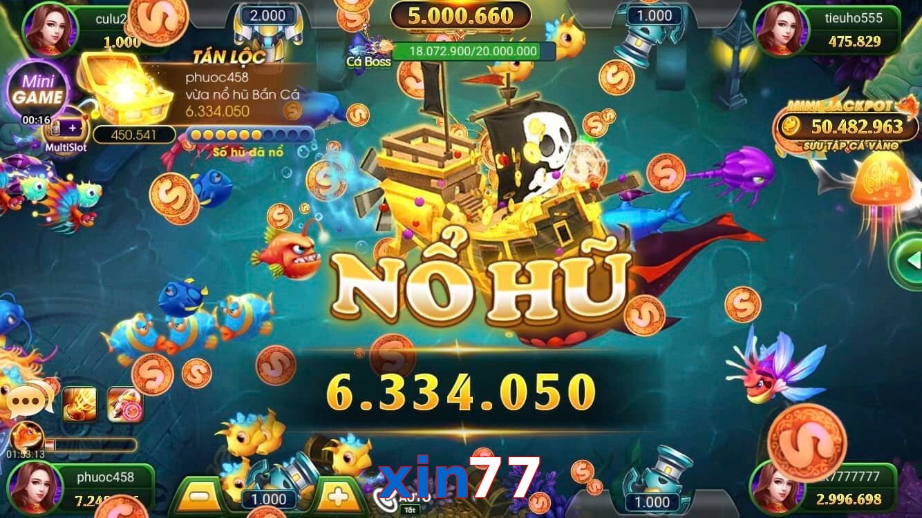 xin77
