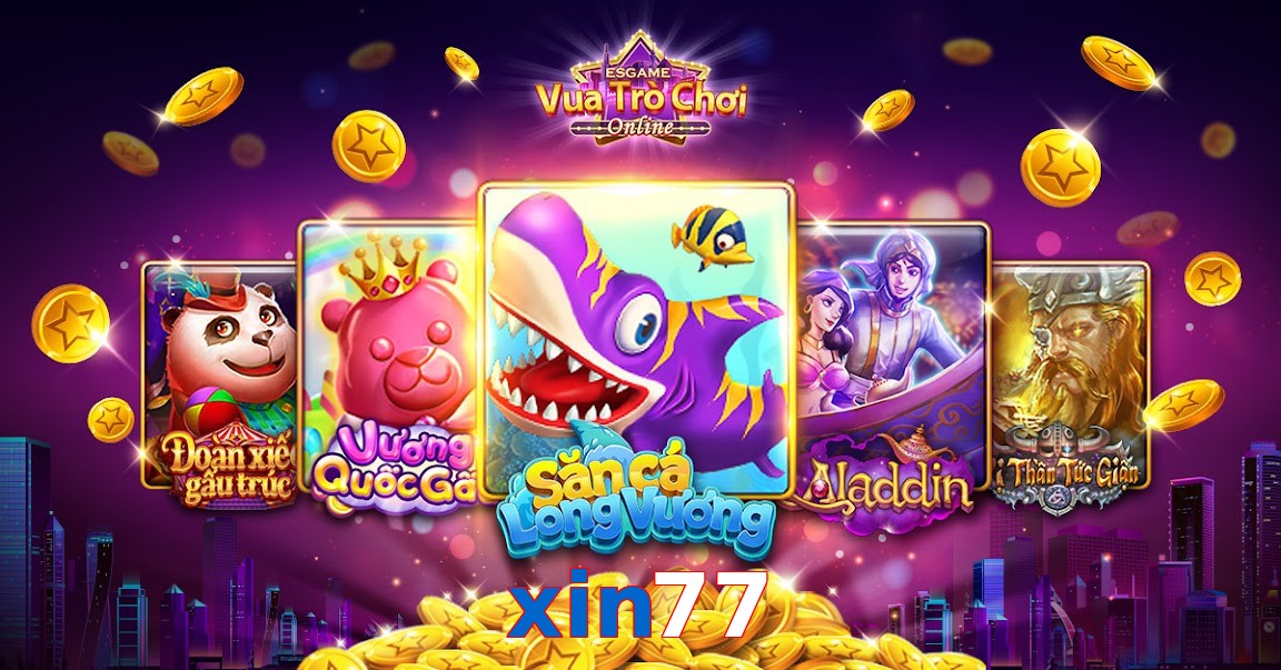 xin77