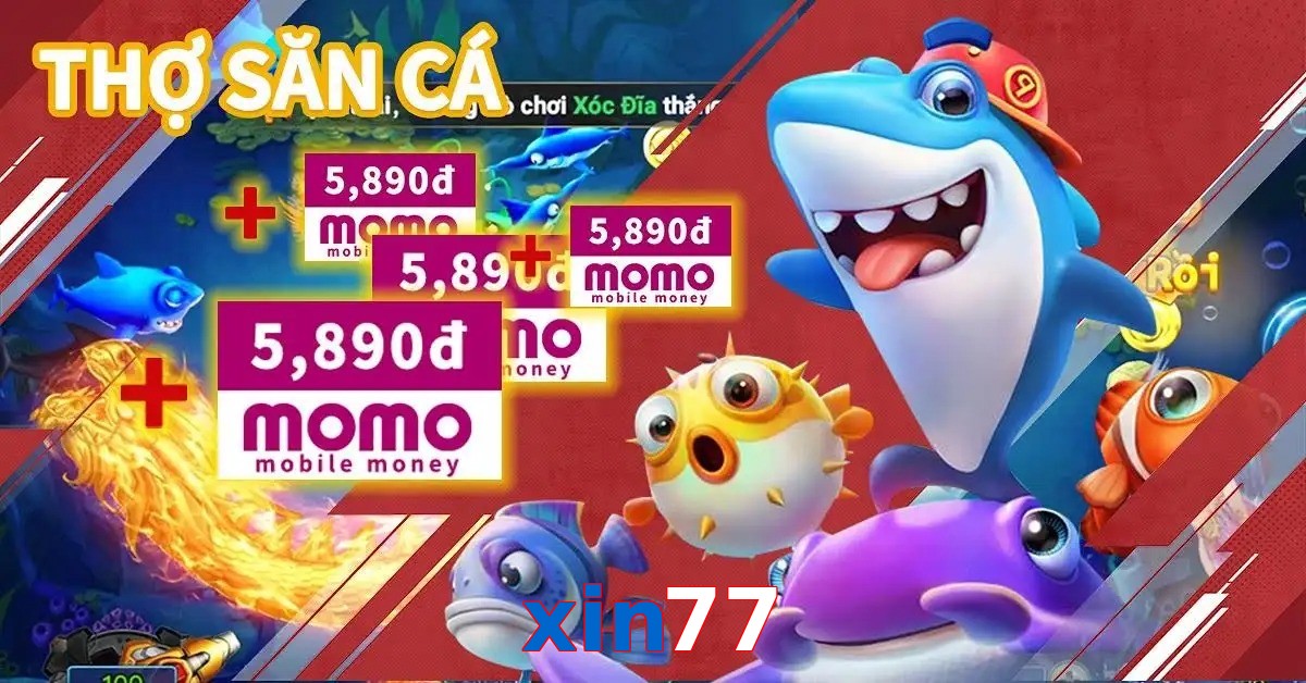 xin77