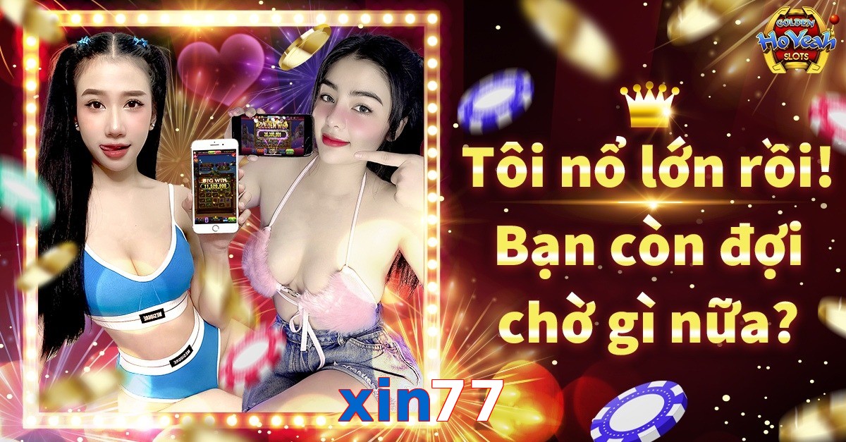 xin77