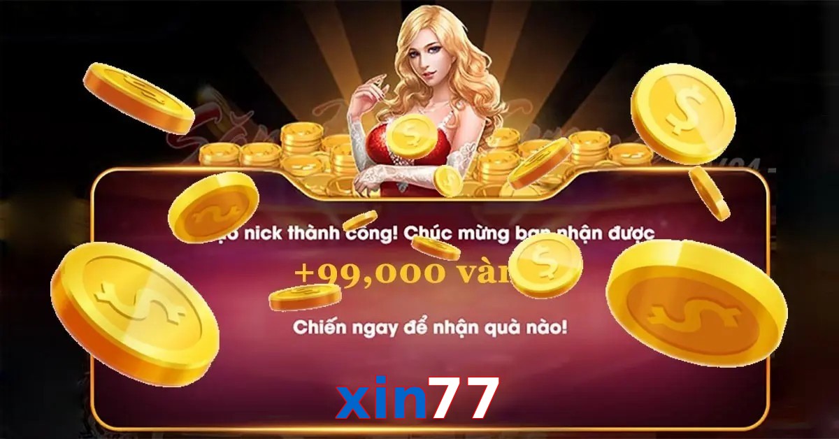 xin77