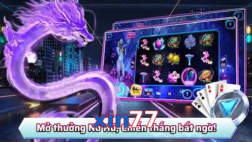 xin77