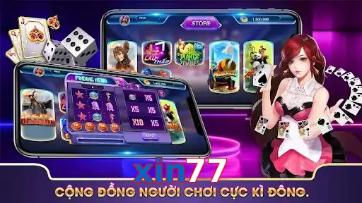 xin77