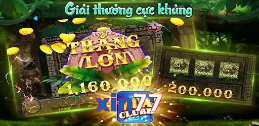 xin77