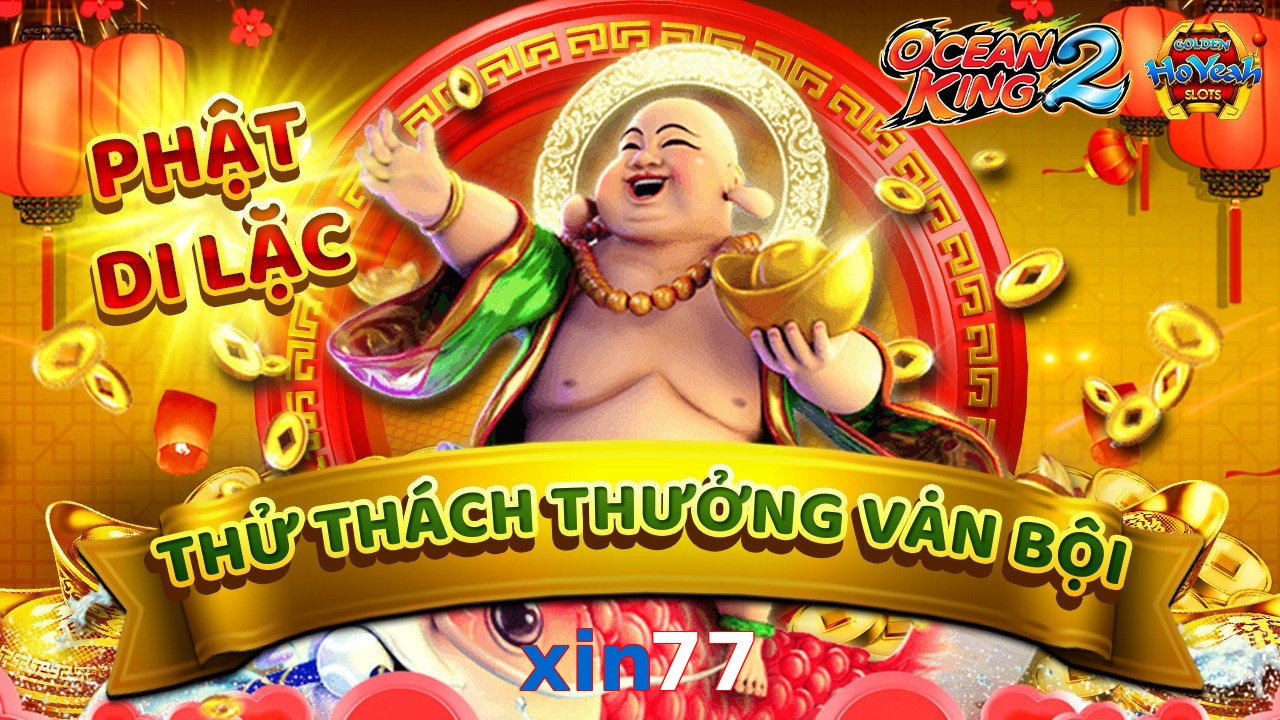 xin77