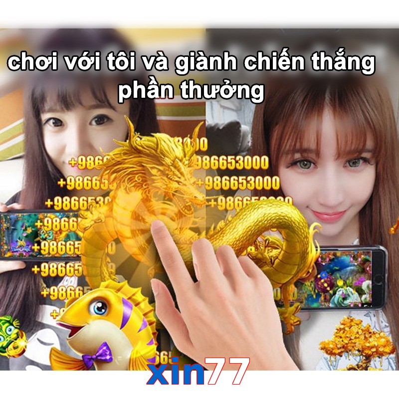 xin77
