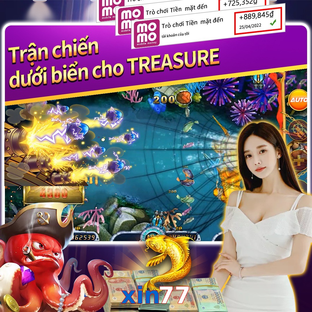 xin77